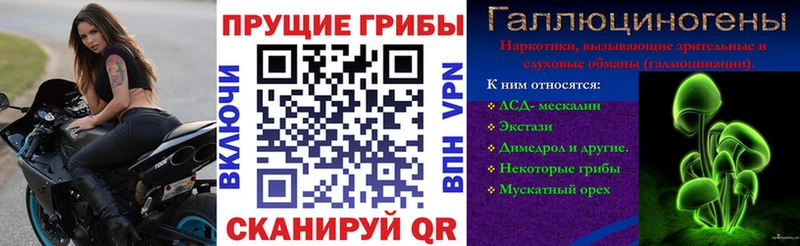 Купить закладки  Костомукша  Псилоцибиновые грибы Magic Shrooms 